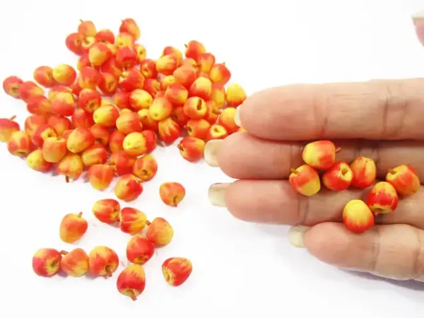 Dollhouse Miniature Food Red Gala Apple Fruit Dollhouse Food Accessories - Image 6