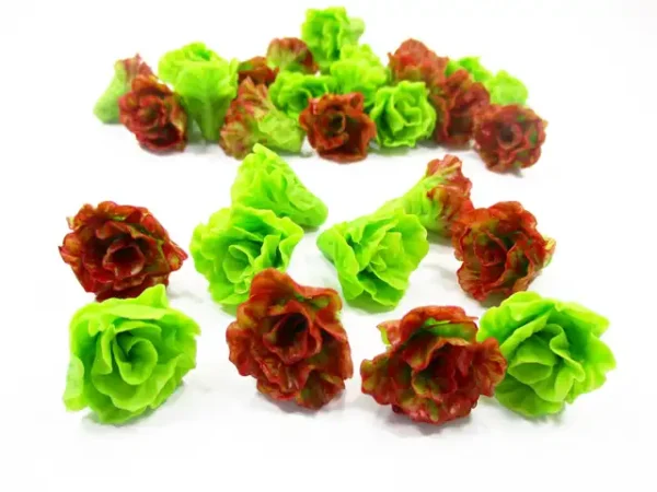 10 Loose Lettuce Salad Vegetable 1:6 Dollhouse Miniature Supply - Image 6