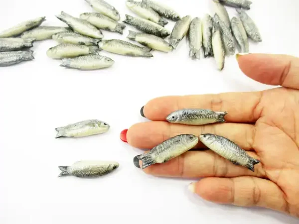 Dollhouse 5 Fresh Mullet Fish Miniature 1:12 Seafood Sea Fresh Fish Store 17057 - Image 5