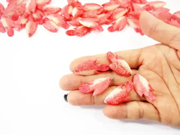 Miniature 5 Red Tilapia Fresh Fish Dollhouse Grocery Store Seafood Fish 17065 - Image 5
