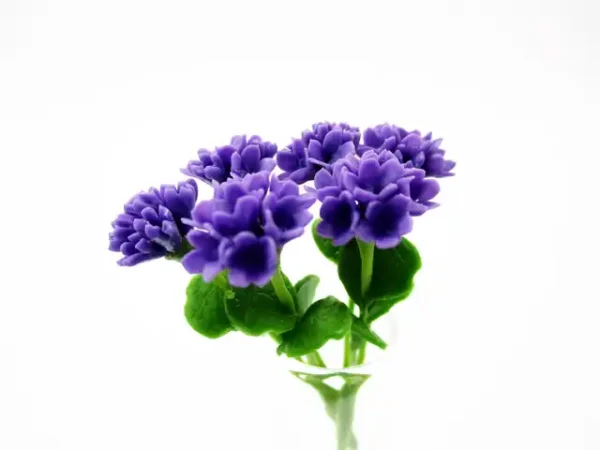 2 Bunch Miniature Geranium Clay Flower Dollhouse Handmade Fairy Garden - Image 10